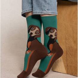 Chaussettes Motif Teckel : Coloris - Malachite - Femme