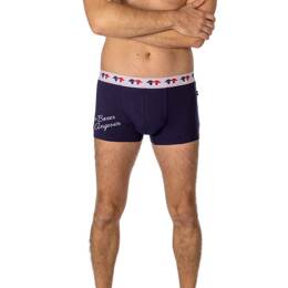 BOXER ANGEVIN