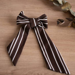 barrette RAFFINEE - marron rayé