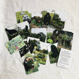 JEU - Memory photographique ANIMAUX MOSAÏCULTURE