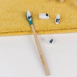Pack 1 an - Brosse à dents en bois rechargeable - La Maline - Turquoise - MEDIUM - Non personnalisé