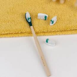 Pack 1 an - Brosse à dents en bois rechargeable - La Maline - Vert - SOUPLE - Non personnalisé