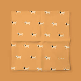 Mouchoir en tissu enfant - Émile (orange)