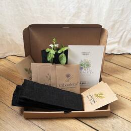 LA FABRIQUE À SACHETS