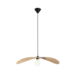 Suspension Aspen