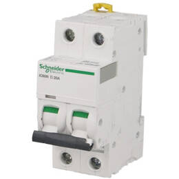 Schneider Electric - Schneider A9f75202 Disjoncteur 2p 2a Courbe D Acti9 Ic60n