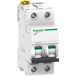 Schneider Electric - A9f74202 Schneider Ic60n Disjoncteur Bipolaire Schneider 2a - 2p - Courbe C - 50ka - À Vis