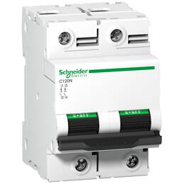 Schneider Electric - A9n18361 Schneider C120n Disjoncteur Bipolaire Schneider 80 A - 2p - Courbe C - 10ka - À Vis