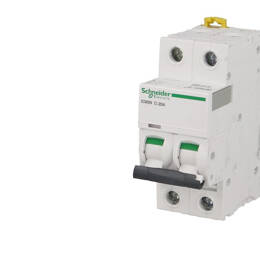 Schneider Electric - Schneider A9f75202 Disjoncteur 2p 2a Courbe D Acti9 Ic60n