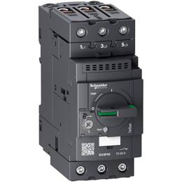 Schneider Electric - Tesys Gv - Disjoncteur Moteur Magnéto-thermique - 70 À 80a - 3p - Everlink