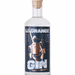 Les gins français