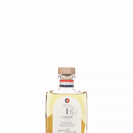 Travellers Cocktails London Vesper