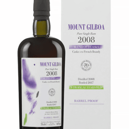 MOUNT GILBOA