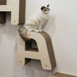 Lettre griffoir mural pour chat au choix (A à Z)