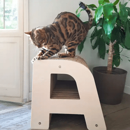 Griffoir Lettre A XL