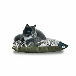 Coussins XL et S  - Couchage chat stylé - Kaki Feuillage Tropical