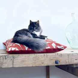 Coussins XL - Couchage chat stylé - Terracotta Feuillage Orange