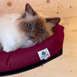 Lit mural avec coussin - Rouge Bordeau