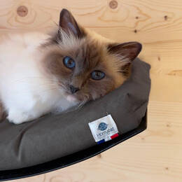 Lit mural avec coussin - Gris Acier