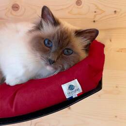 Lit mural avec coussin - Rouge Griotte