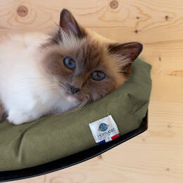 Lit hamac mural pour chats - matelas vert kaki