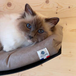 Housse SEULE - pour lit mural Homycat