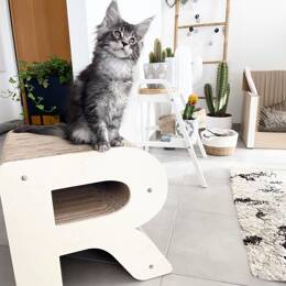 Griffoir Lettre R XL