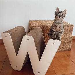 Griffoir Lettre W XL