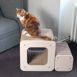 Griffoir Design Cube + Tour XL