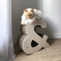 Griffoir chat Symbole esperluette &