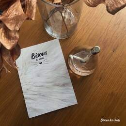 Pack de 2 Carnets - Bisous les chats - Pelage chat blanc crème