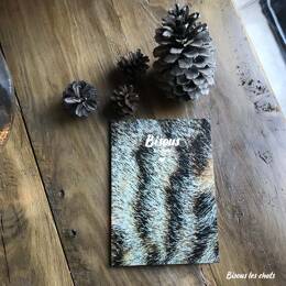 Pack de 2 Carnets au poil - Bisous les chats - Pelage chat tigré