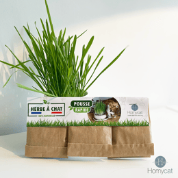 Les herbes à chat Made in France