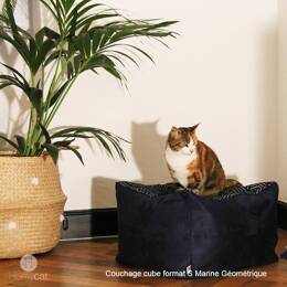 Cube Géométrique Chic Bleu Marine - Couchage pouf chat design