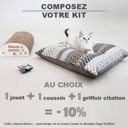 Les accessoires pour chaton Made in France
