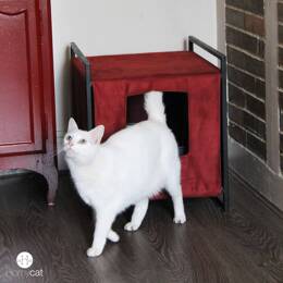 Maison de toilette Sublime - Griotte / Bordeaux