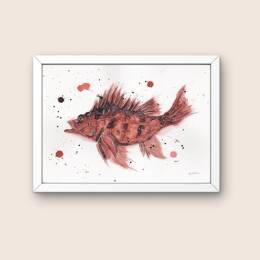 Affiche - Poisson de roche - Watergame