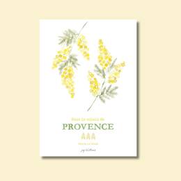 Carte postale - Mimosa de provence - Marie Le Moal