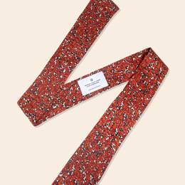 ANAHIDE SAINT ANDRÉ