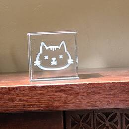 Chat de Schrödinger