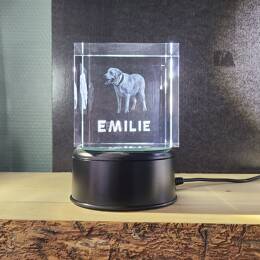 Digraphe Cristallin avec vos photos