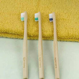 Brosse à dents en bois – plus responsable et recyclable, 100% fabriquée en France