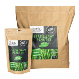 Fertilisant Semis Gazon Biochar et Mycorhizes 5 kg - 300 m2