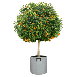 Pot en géotextile design 100L Gris