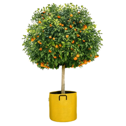 Pot en géotextile design 100L Jaune