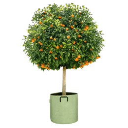 Pot en géotextile design 100L Vert