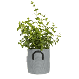 Pot en géotextile design 10L Gris