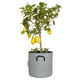 Pot en géotextile design 20L Gris