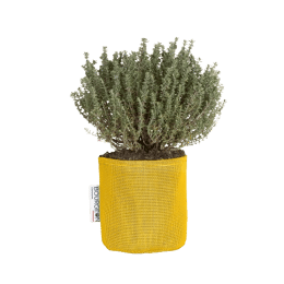 Pot en géotextile design 3L Jaune