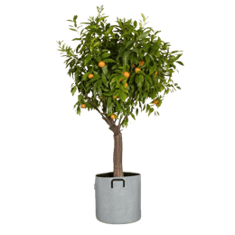 Pot en géotextile design 50L Gris